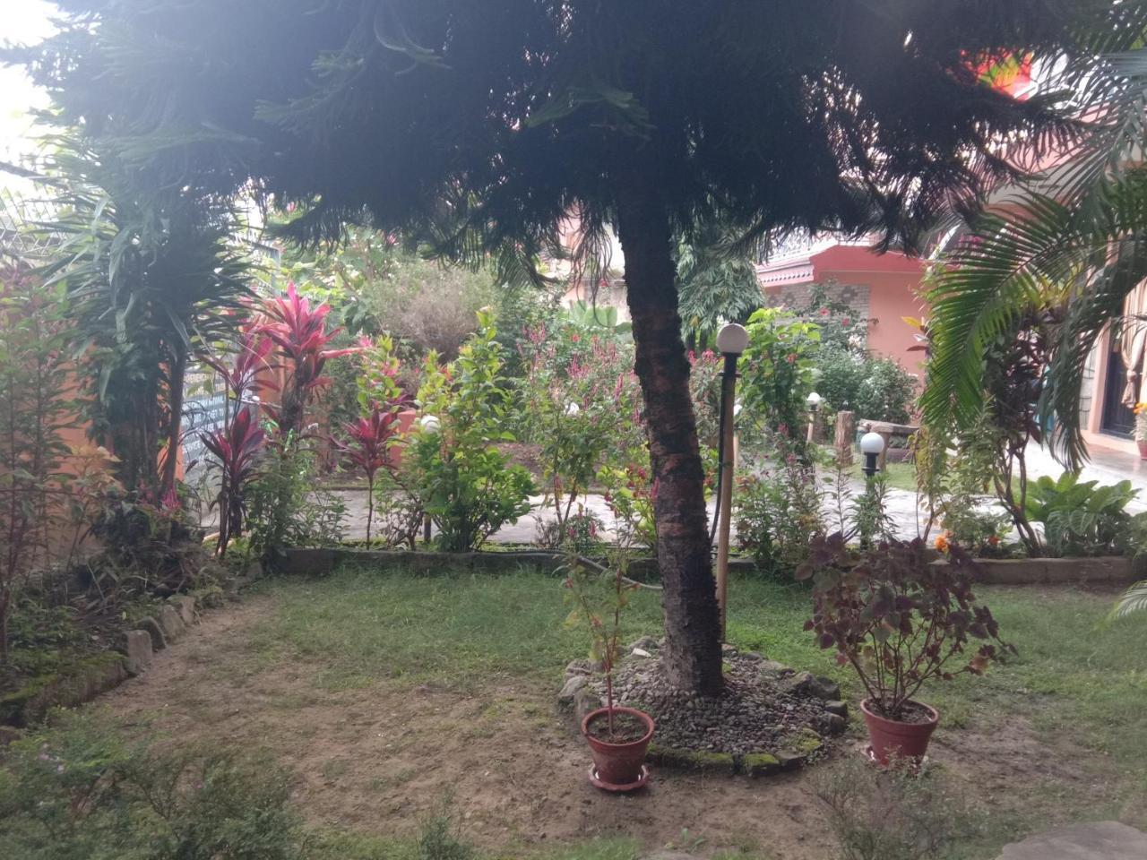Kalpana G. House Hotel Pokhara Buitenkant foto